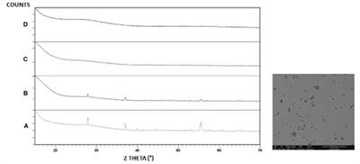 Tellurium Vanadate Glasses: V4+colorimetric Measure and Its Effect on Conductivity